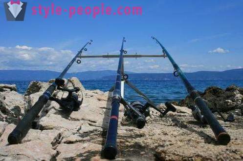 Bolognese tyč: taktiky konstrukce, vybavení a rybolovné