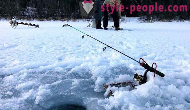 Lovu a rybolovu v regionu Perm: zejména rybolov, druhy lovu a rybaření