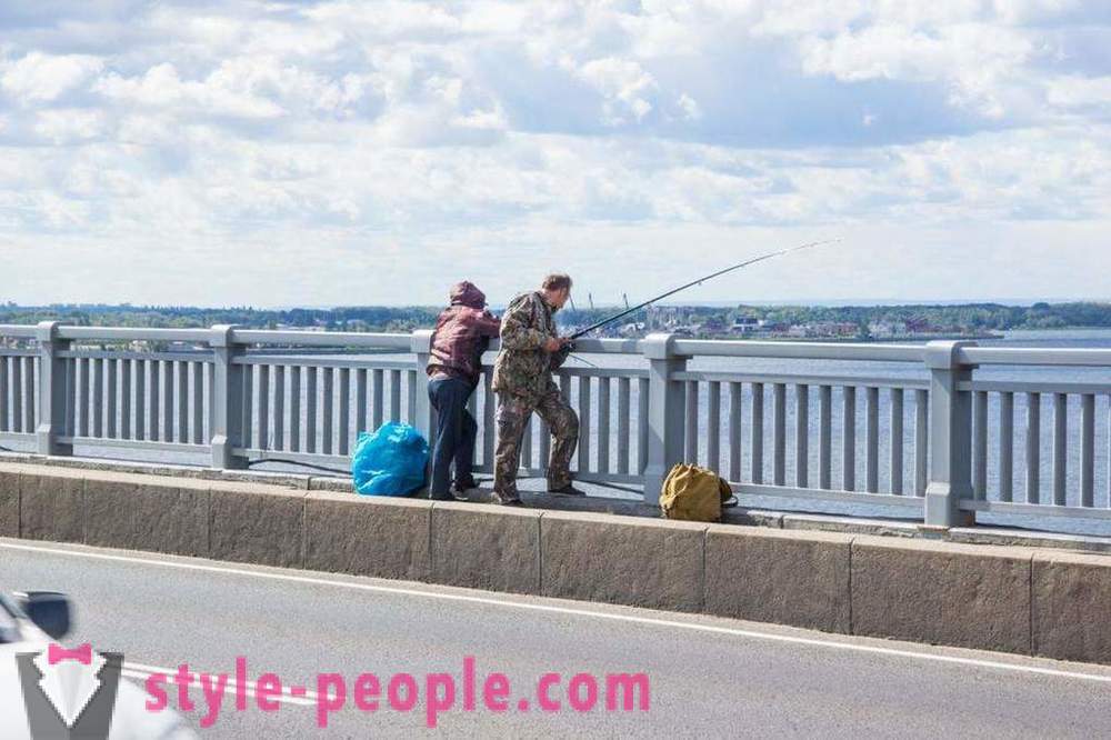 Rybolov v Saratov na Volze: fotografie a recenze