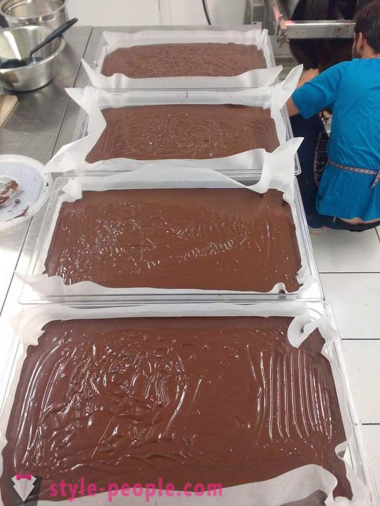 Způsob pěstování a výrobě čokolády