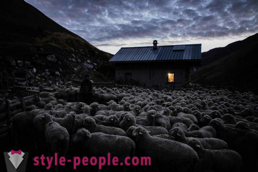 Život pastýře v Alpách