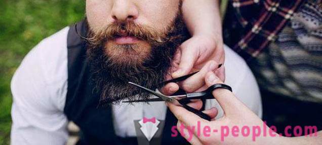 Pánské vousy stylový: typy, a to zejména péče