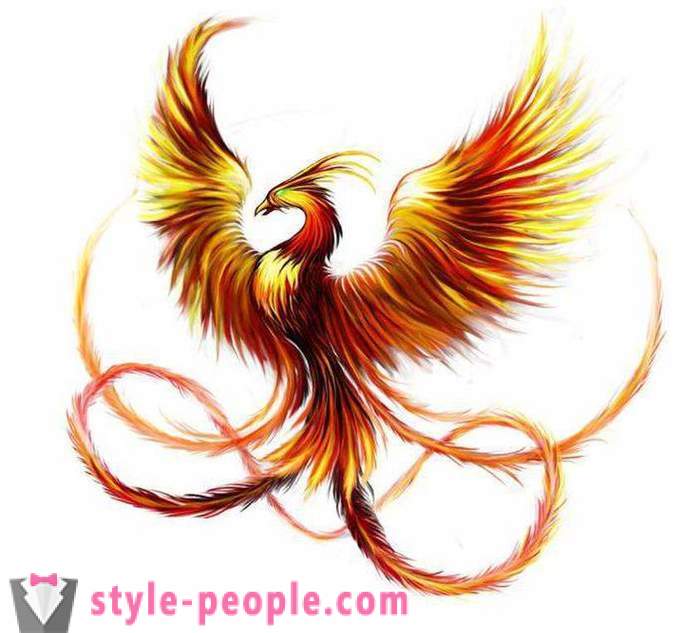 Phoenix Tetování: náčrty a možnosti