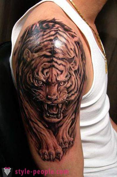 Hlavním přínosem tygr tetování