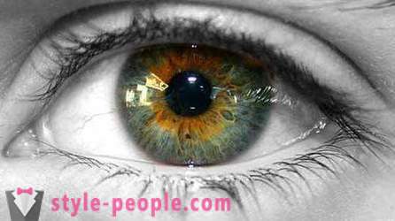 Swamp barva očí. Co určuje barvu lidské oko?