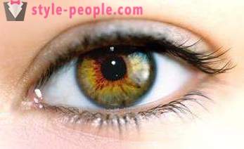 Swamp barva očí. Co určuje barvu lidské oko?