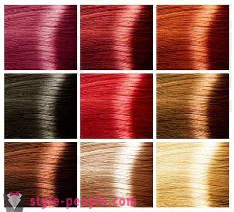 Paleta barev na vlasy „Estelovi“ - profesionální paleta