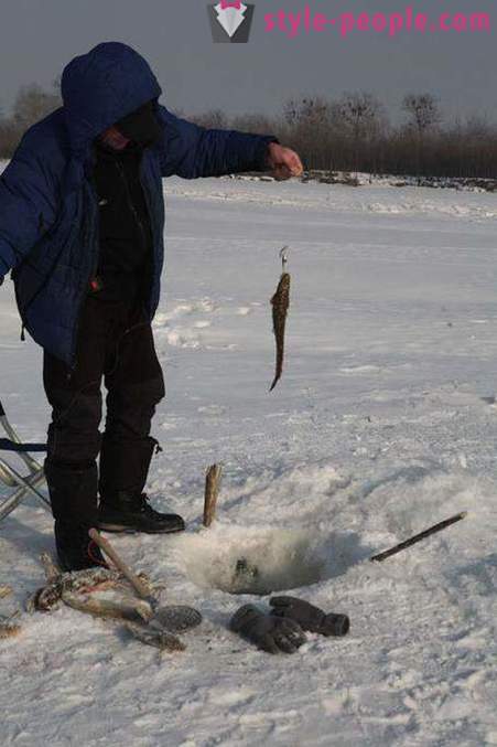 Mník rybolov v zimě na zherlitsy. Chytání mník v zimě trolling