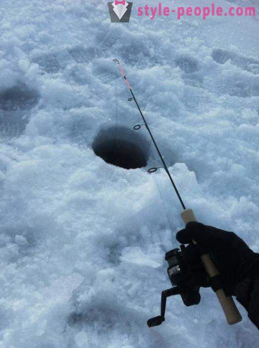 Mník rybolov v zimě na zherlitsy. Chytání mník v zimě trolling